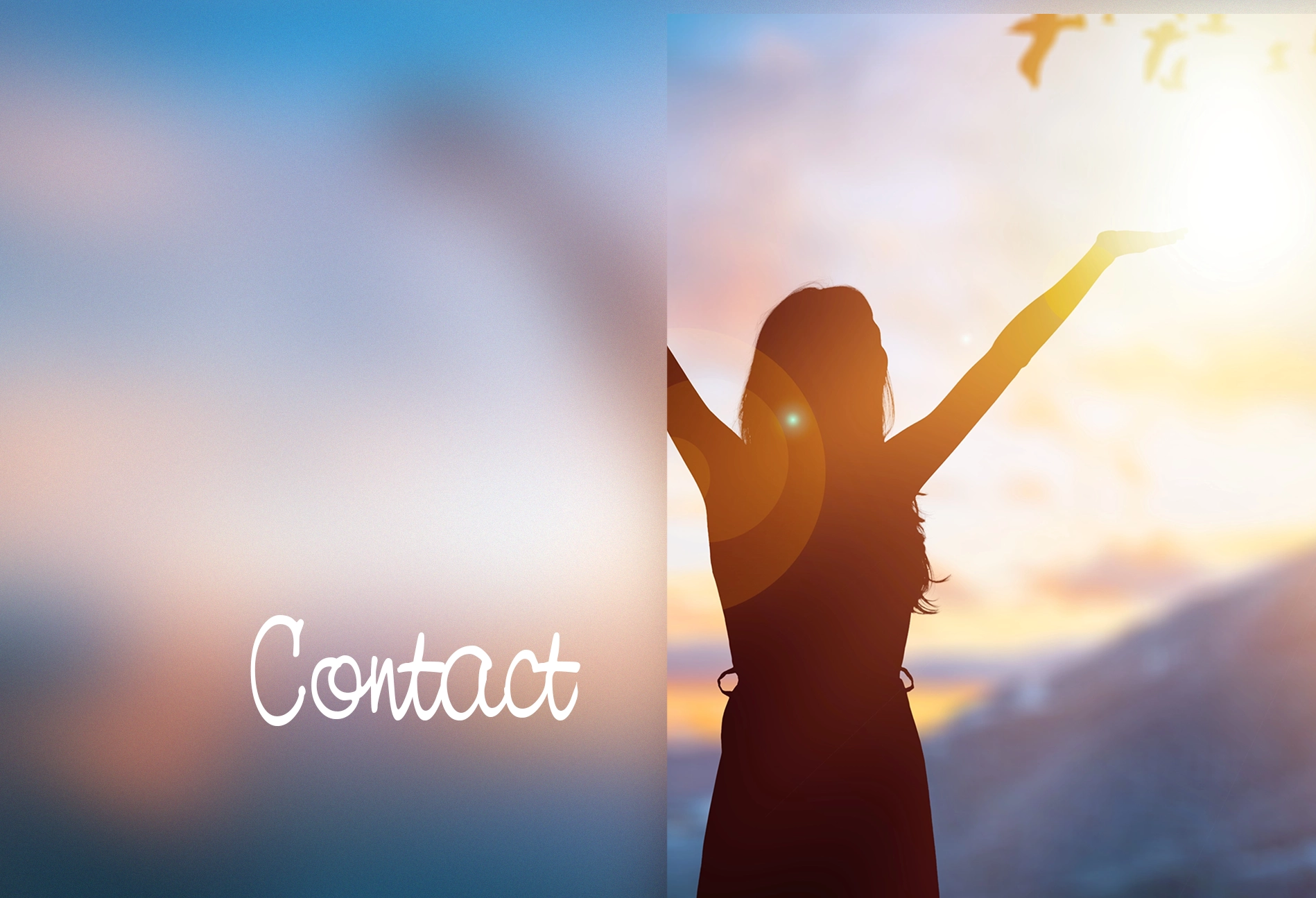 Contact-banner