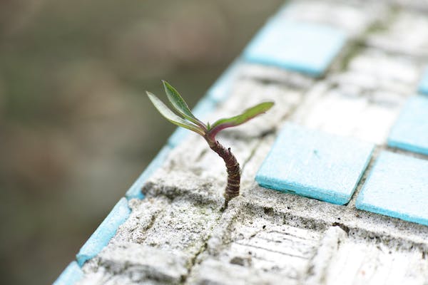 My New Hope – Guaranteed!