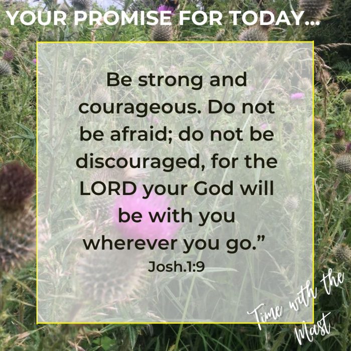 Gods Promise Week 34