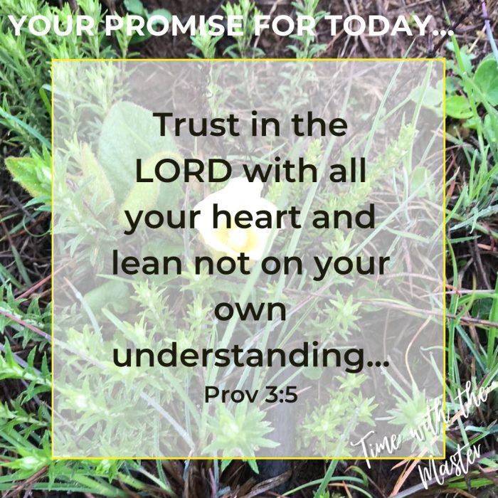 Gods Promise Week 35