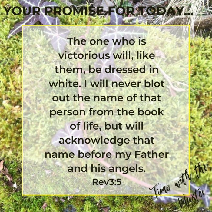 Gods Promise Week 36