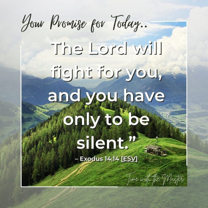 Gods Promise Week 37