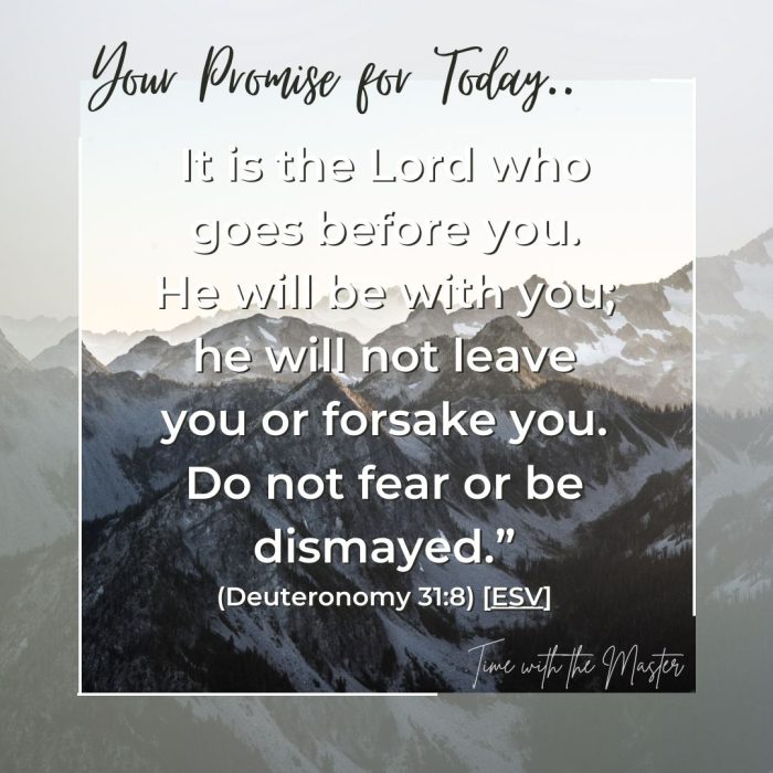 Gods Promise Week 38