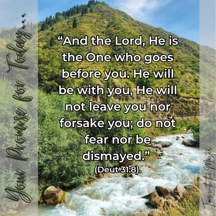 Gods Promise Week 40 - 1