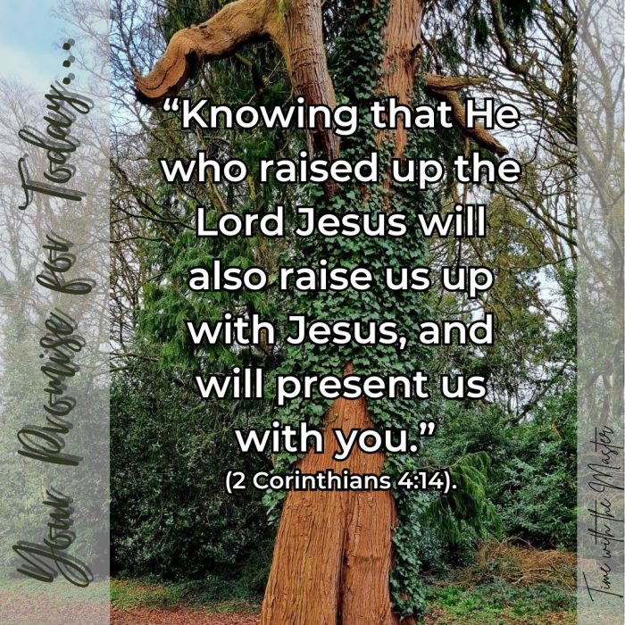 Gods Promise Week 41 - 1