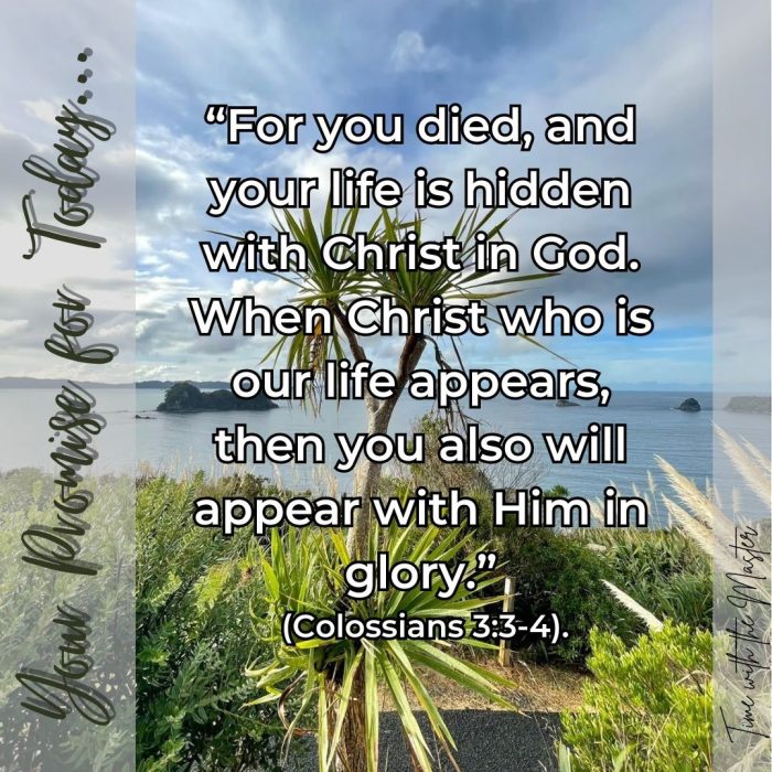 Gods Promise Week 43 - 1
