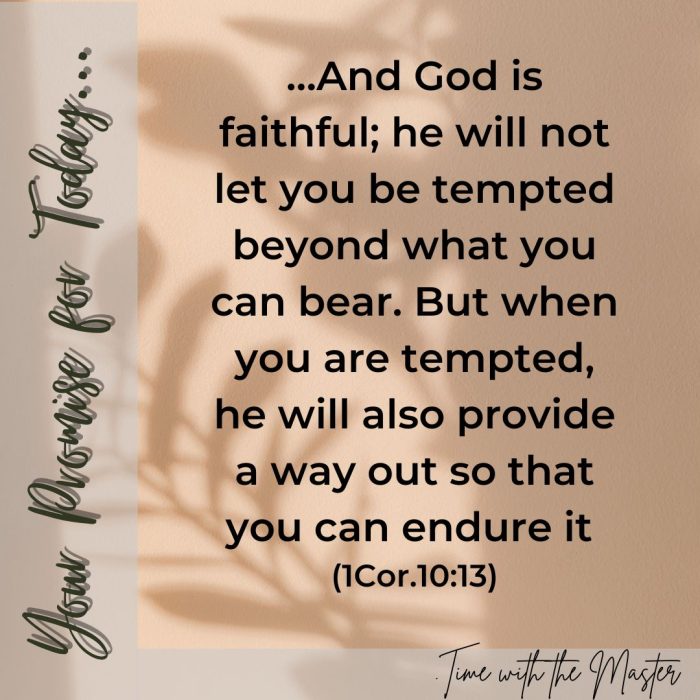 Gods Promise Week 49