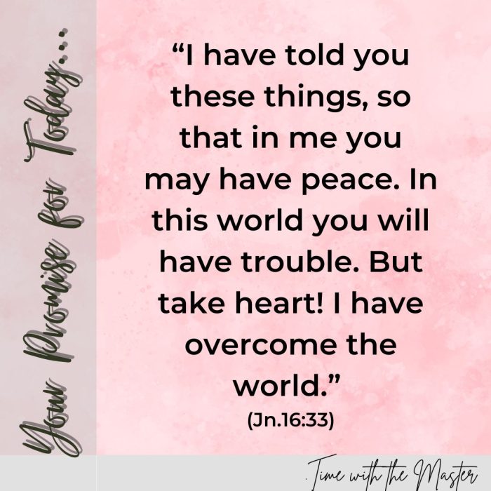 Gods Promise Week 53
