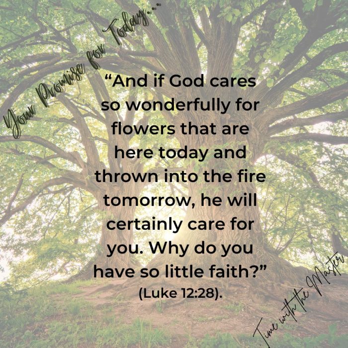 Gods Promise Week 60