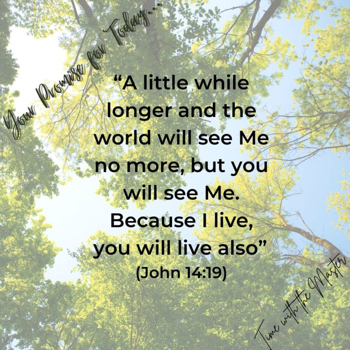 Gods Promise Week 61
