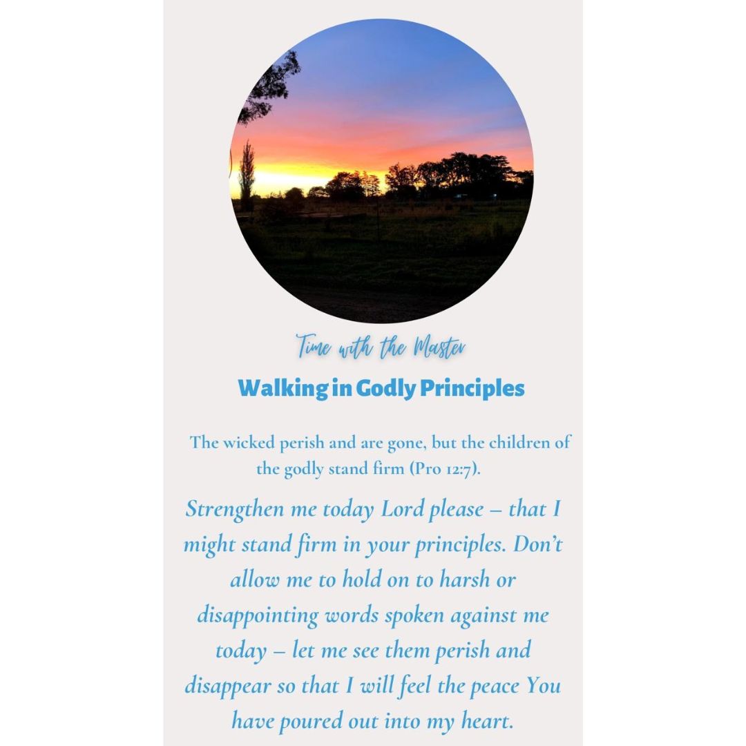 Week 126a